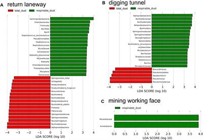 Pathogenic Bacterial Communities of Dust in a Coal Mine